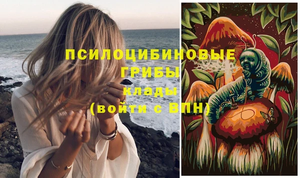 соль ск Лиски