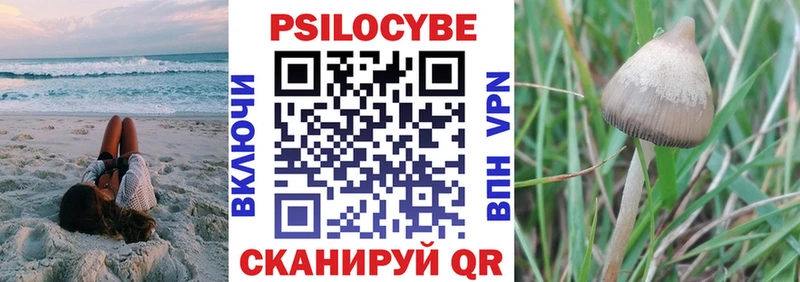 цены наркотик  Вологда  Галлюциногенные грибы Psilocybine cubensis 