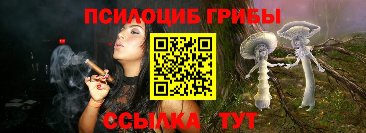 Псилоцибиновые грибы ЛСД Вологда