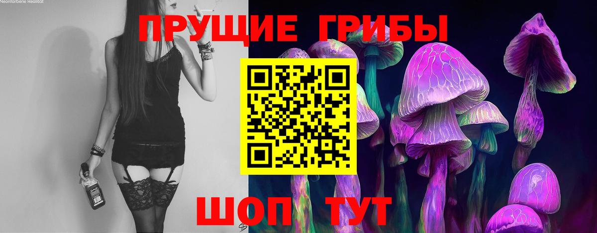 Вологда  Галлюциногенные грибы Cubensis  Вход с VPN 