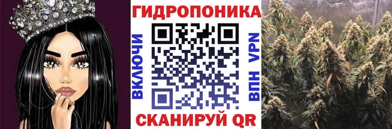 Конопля план  Вологда 